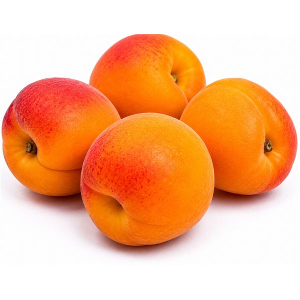 زردآلو