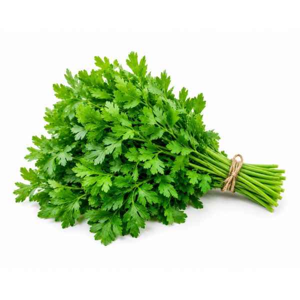 جعفری تازه — دسته ای