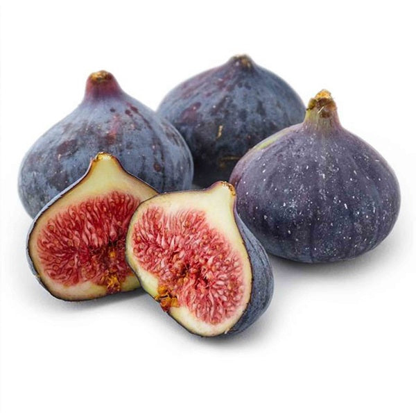 fresh turkish fig