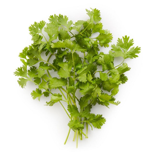 Cilantro (Bunch)