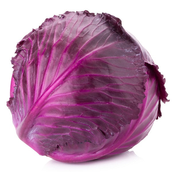 Cabbage Red (2lb - 2.25lb)