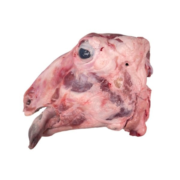 A fresh lamb head with some parts of the skull
