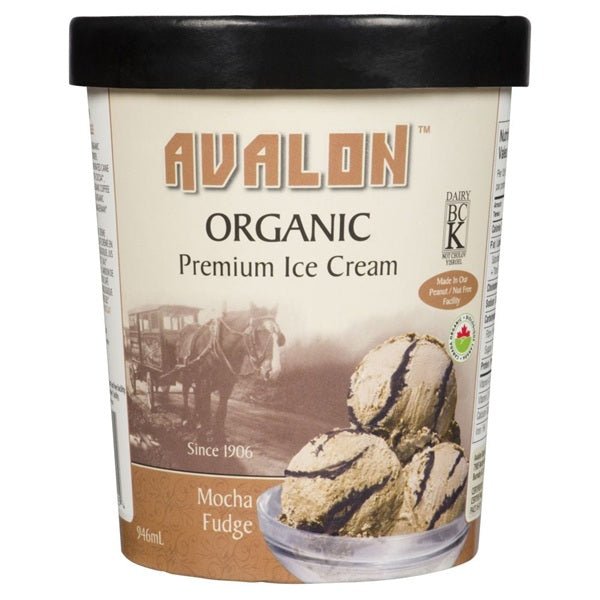Avalon Organic Premium Ice Cream with Mocha Fudge flavor