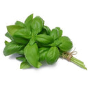 Basil (Bunch)