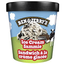 Ben and Jerry's Ice Cream Sammie