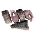 Caspian kutum (ماهی سفید) 