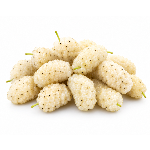 Fresh Mulberries (box)