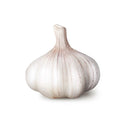 Garlic (Pack of 3)