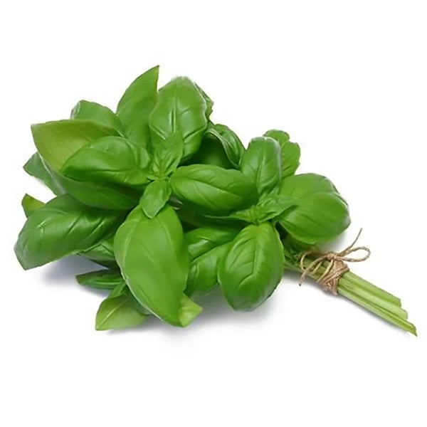 Basil (Bunch)