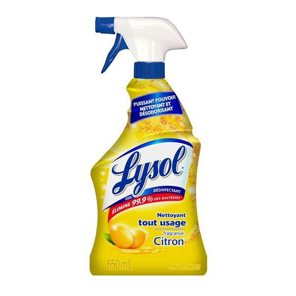 Lysol All-Purpose Cleaning Spray