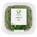 سبزی نعنا و جعفری منجمد