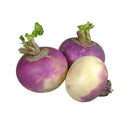 Purple Top Turnips, 1lb - 1.5lb