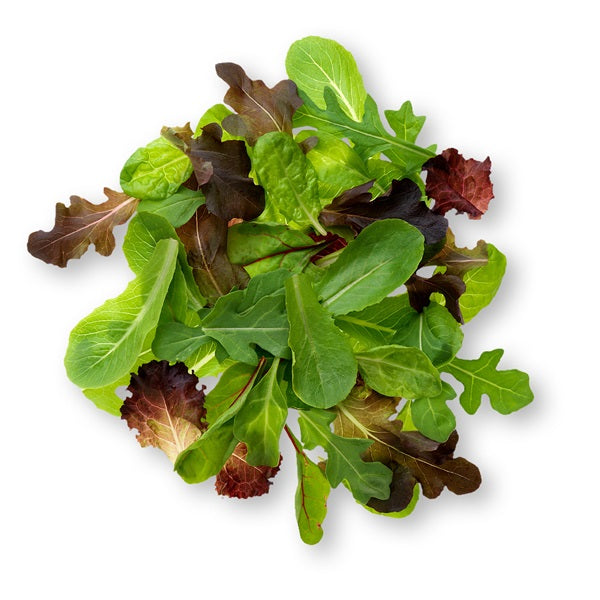 Spring Mix ,142gr (Box)