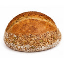 Levain de graines V-Mix