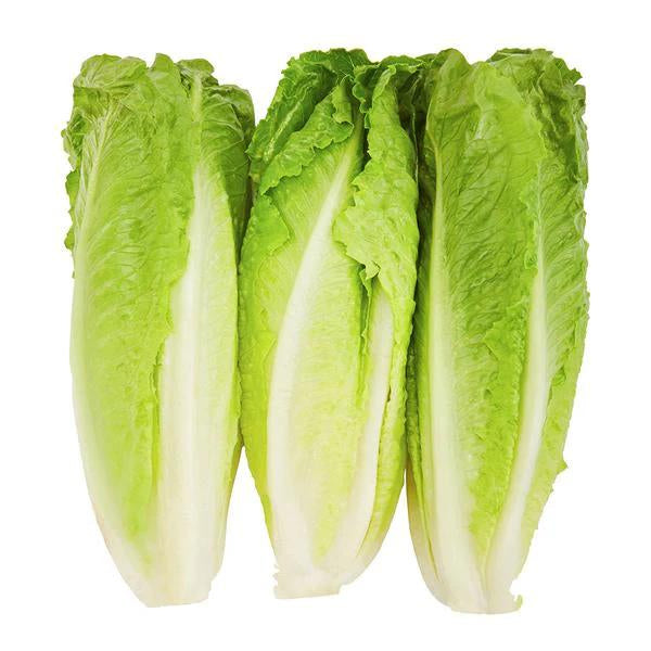 Lettuce Hearts (Pack of 3)