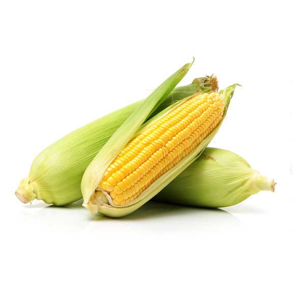 Corn (Each)