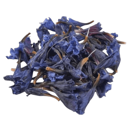 dried blue borage flowers