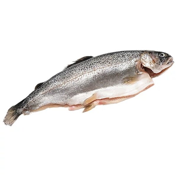  farmed trout ghezel alla