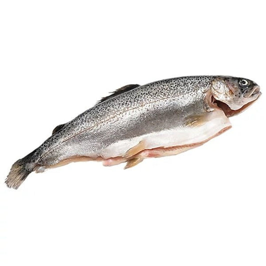  farmed trout ghezel alla