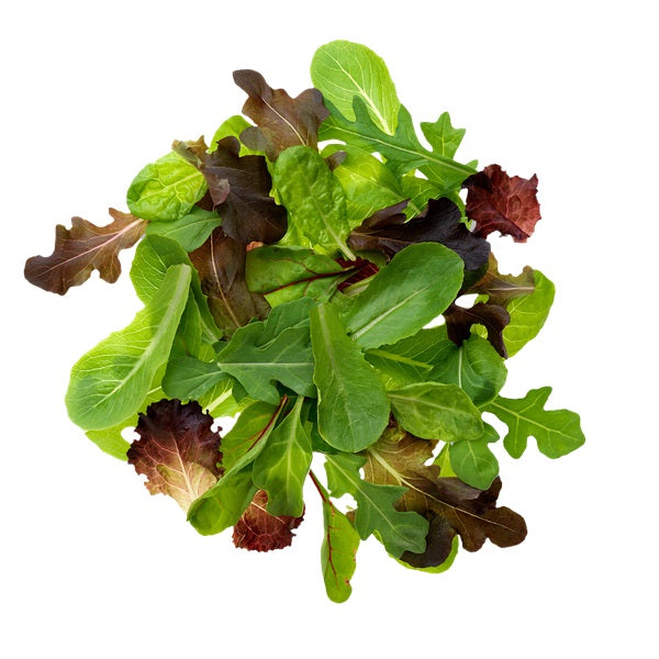 Lettuce Spring Mix Organic (Each)