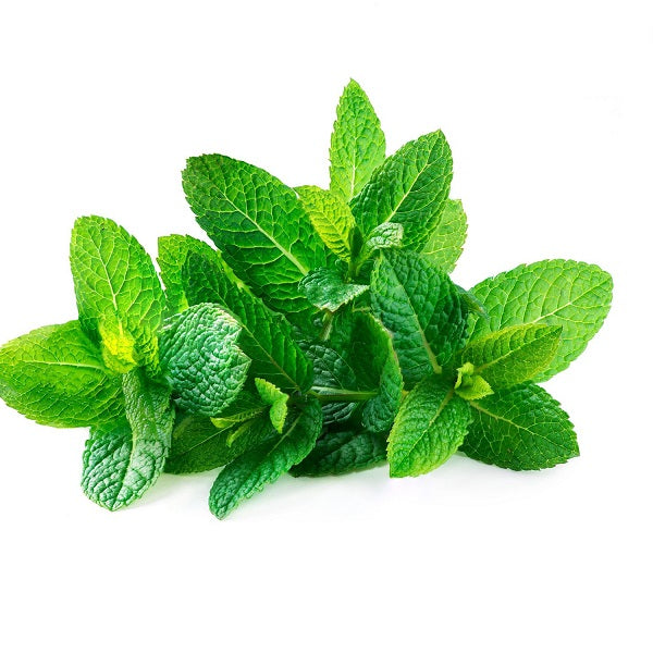 Mint (Bunch)