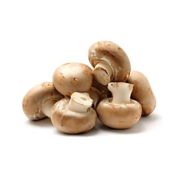 Mushroom Brown 227 gr