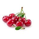fresh albaloo sour cherry