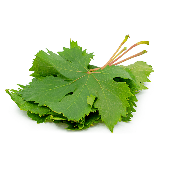 fresh green grape leaves barge mo