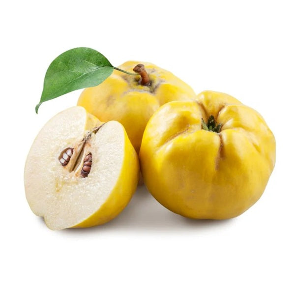 fresh quince
