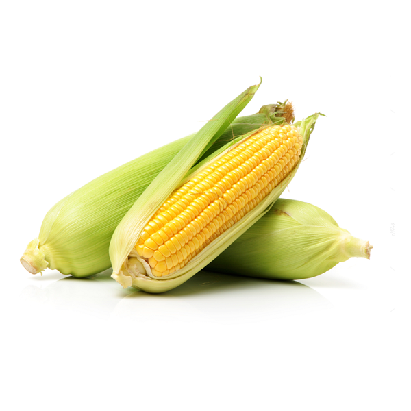 Fresh Corn (Pack of 4)