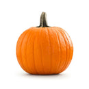  large orange pumpkin with a stem