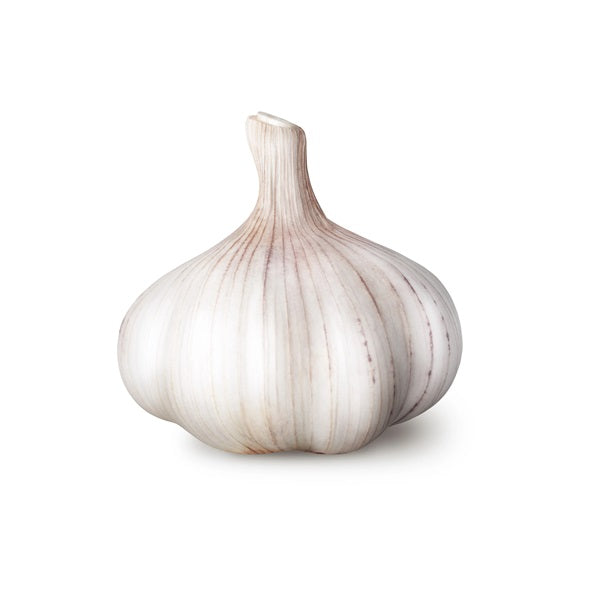 Garlic (Pack of 3)