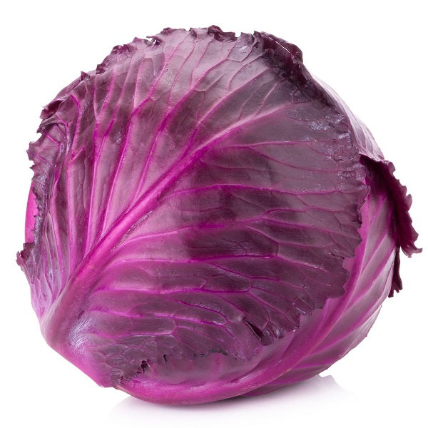 Cabbage, Red (Sold in singles)