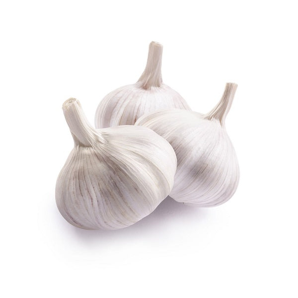 Garlic (Pack of 3)