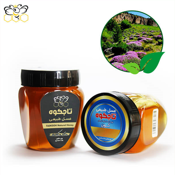 Tajkooh Milkvetch Honey (Gavan), 500 Gr
