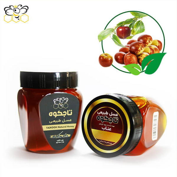 Tajkooh Jujube Honey (Annab), 500 Gr